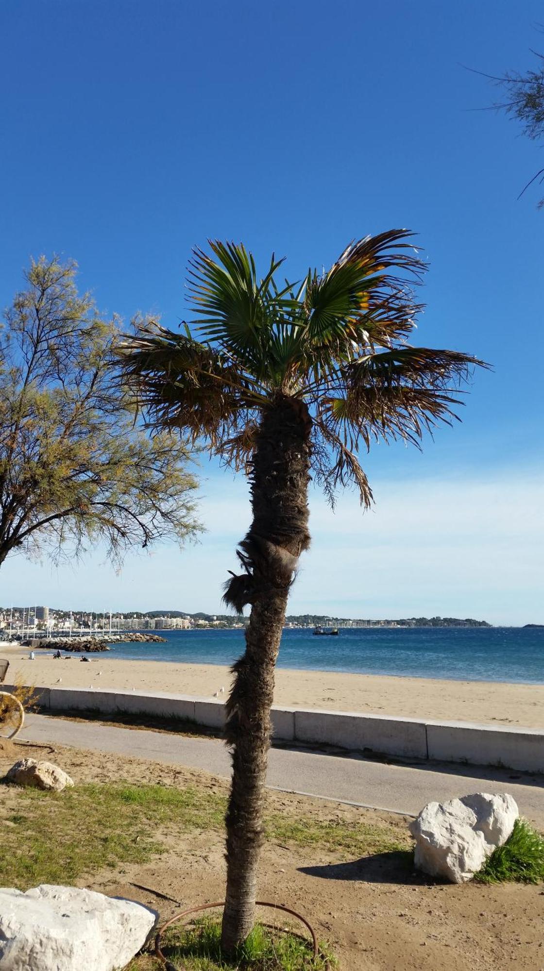 Sublime Vue Mer,parking,wifi * Fréjus