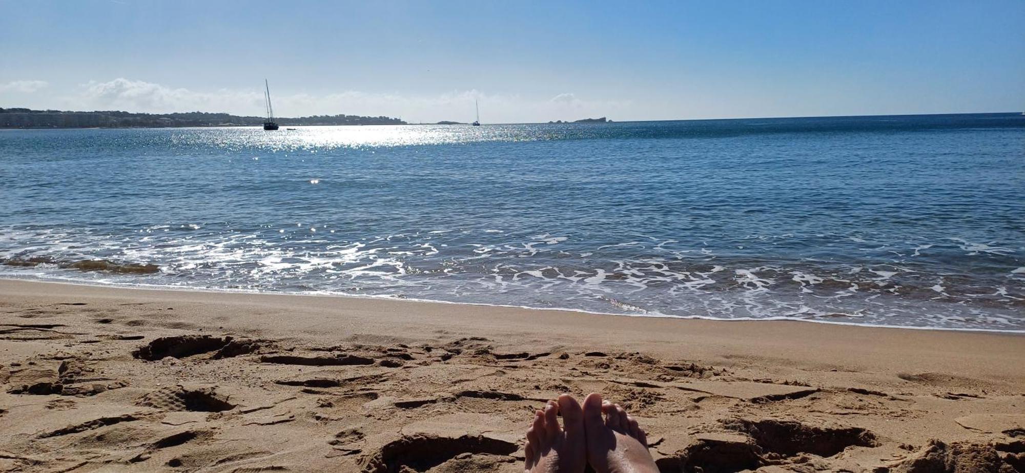 Sublime Vue Mer,parking,wifi Appartement