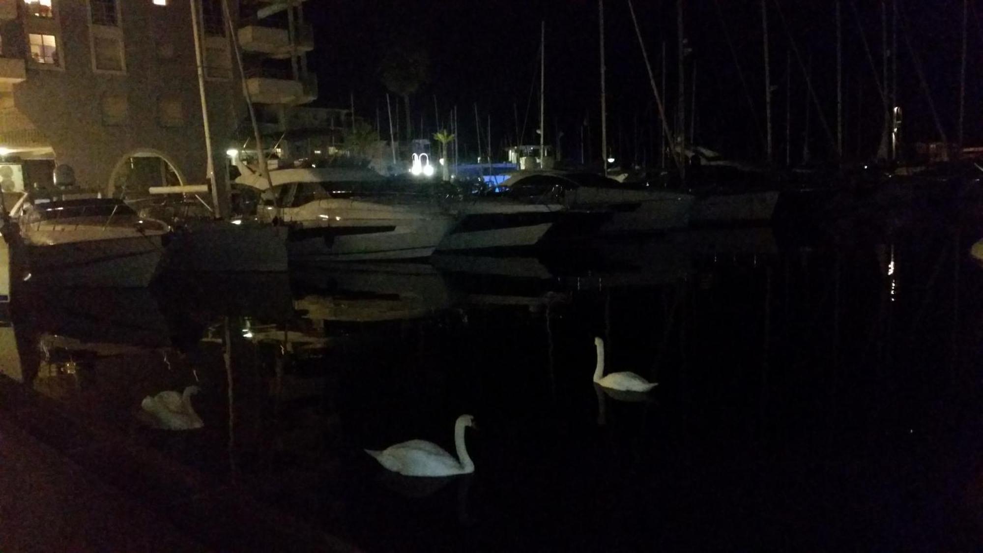 Appartement Sublime Vue Mer,parking,wifi