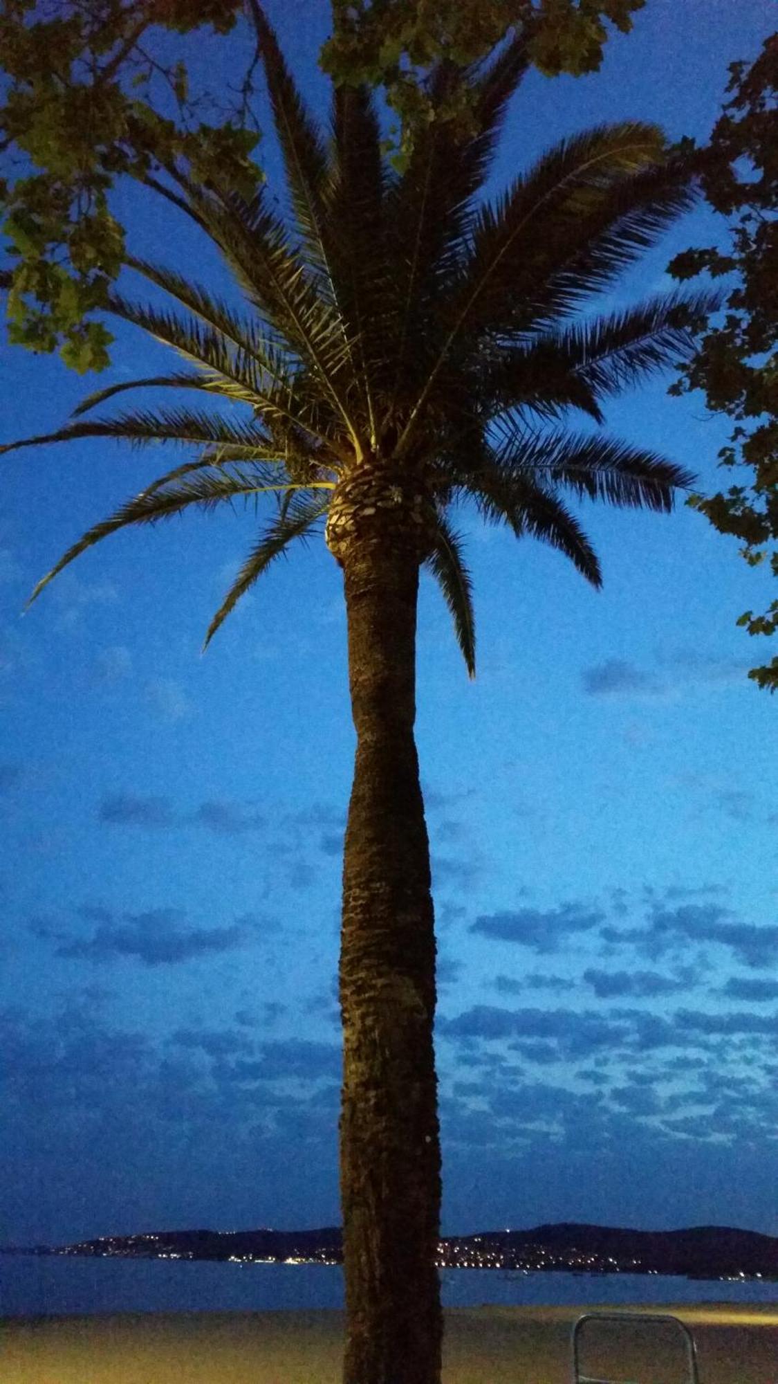 Appartement Sublime Vue Mer,parking,wifi Fréjus